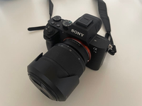Sony Mirrorless Interchangeable Lips 7 Ii