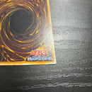 Yu -Gi -Oh! Ocg Duel Monsters 1