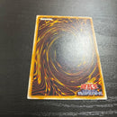 Yu -Gi -Oh! Ocg Duel Monsters 1