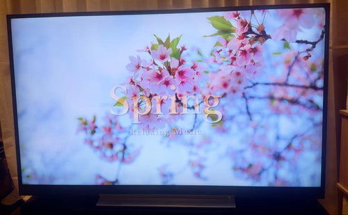 Regza Oled Tv 55 4K 55Bz710X