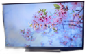 Regza Oled Tv 55 4K 55Bz710X