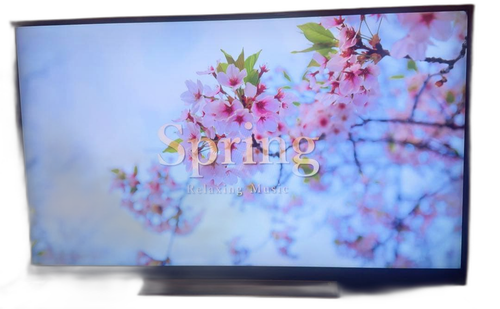 Regza Oled Tv 55 4K 55Bz710X