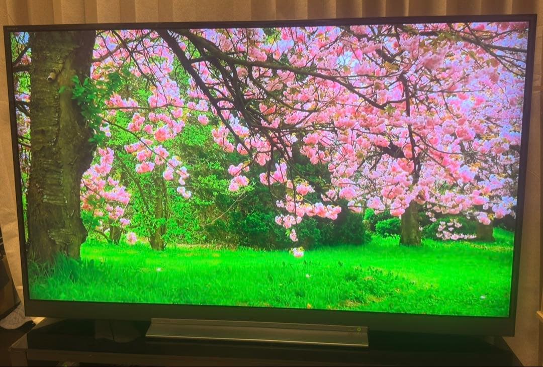 Regza Oled Tv 55 4K 55Bz710X