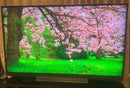 Regza Oled Tv 55 4K 55Bz710X