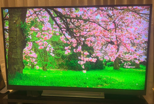 Regza Oled Tv 55 4K 55Bz710X