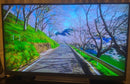 Regza Oled Tv 55 4K 55Bz710X