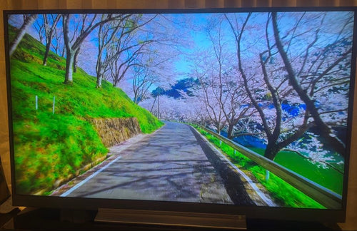 Regza Oled Tv 55 4K 55Bz710X