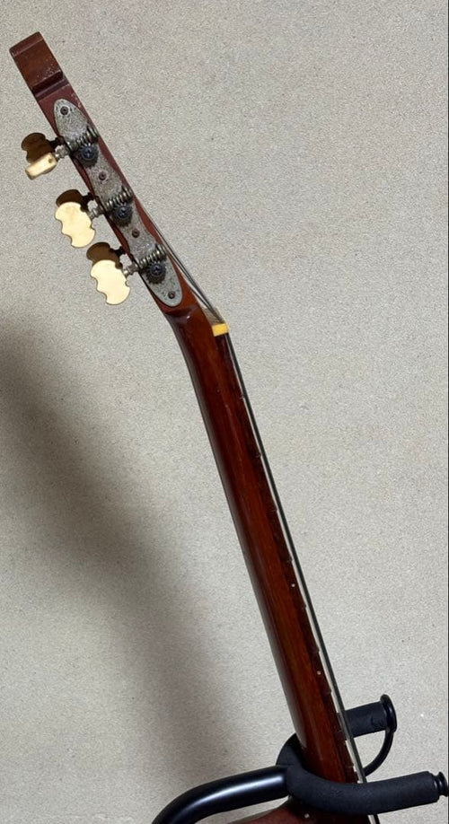 Yamaha Classical Guitars G-120