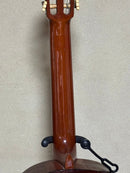 Yamaha Classical Guitars G-120