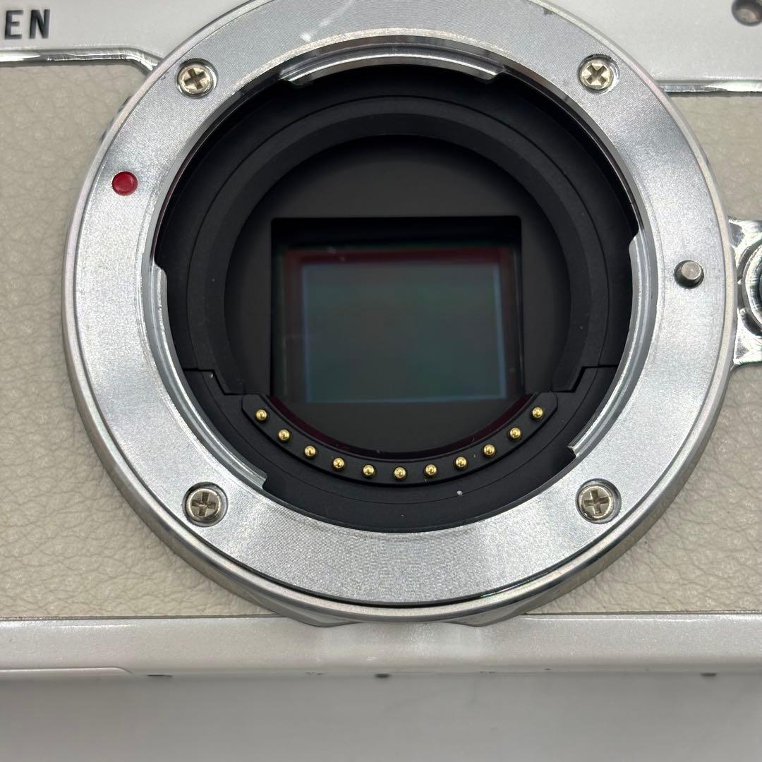 Sony Mirrorless Interchangeable Lips E-Pl7