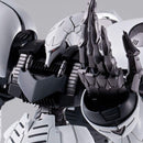 Premium Bandai Mg (Master Grade) Amx-004Dmd