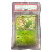 Pokemon Card Game Psa9