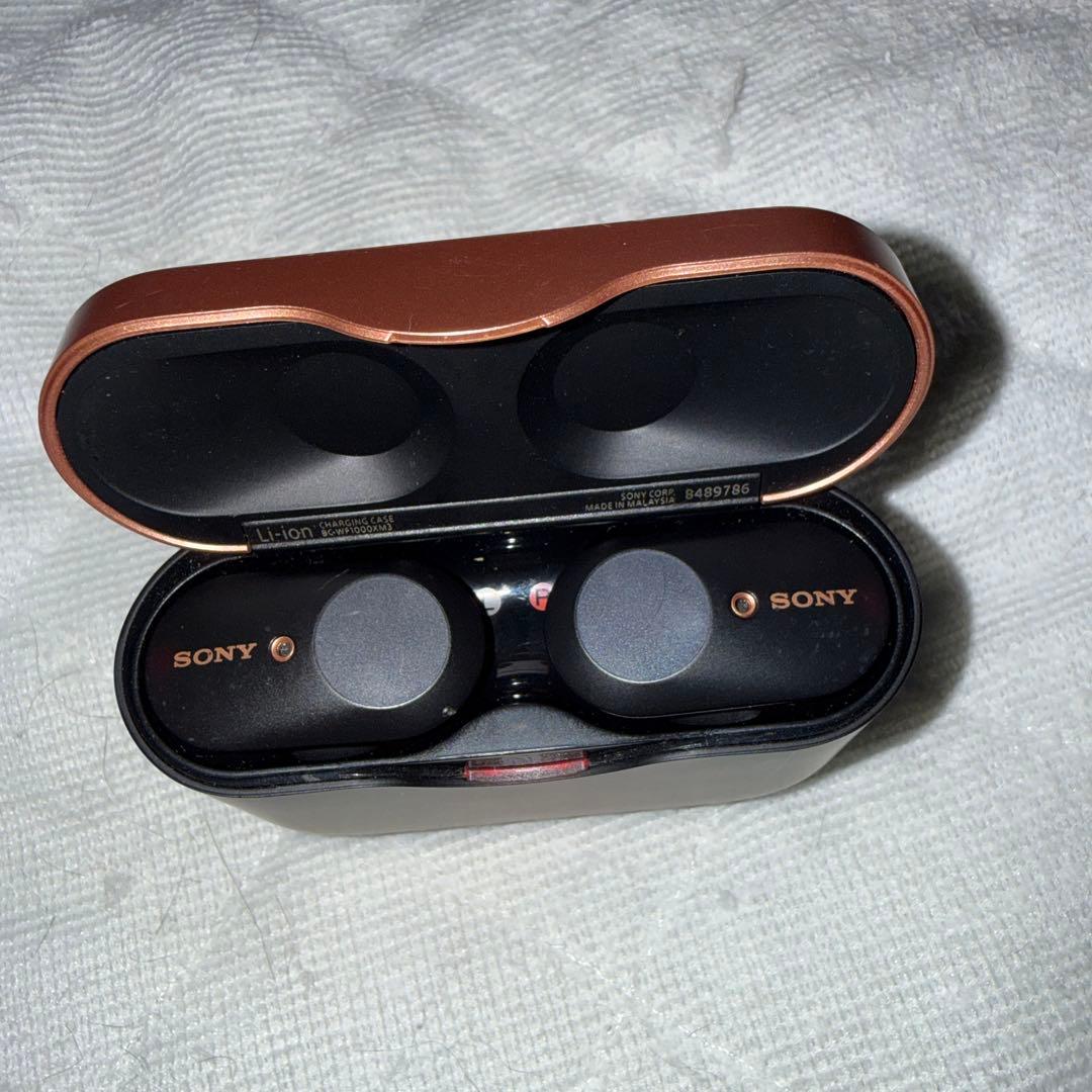 Sony Wireless Earphones