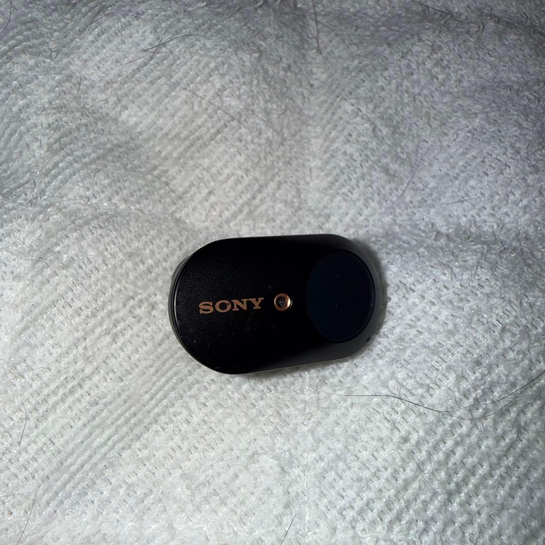 Sony Wireless Earphones
