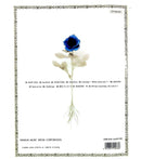 Art Design Music Misia Mars&Roses