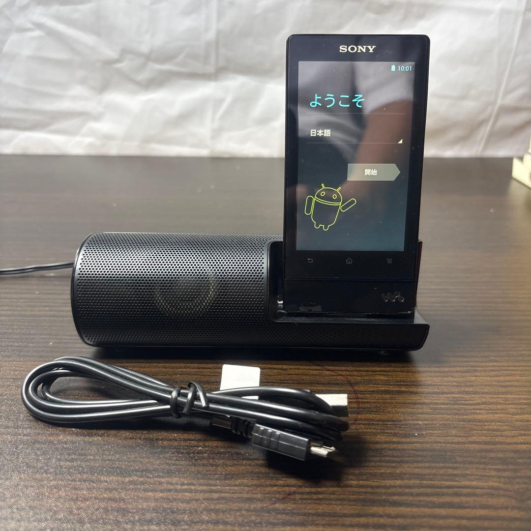 Sony Digital Audio Players Walkman Nw-F806 32G