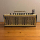 Yamaha Guitar Amplifiers Yamha Thr10 Wireless Yw10T