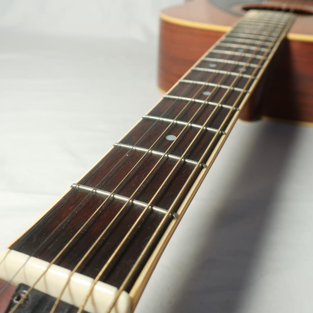 Yamaha Acoustic Guitars Ll-6J