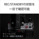 Sony Mirrorless Interchangeable Lips Cinema Line Fx2 Ilme-Fx2B