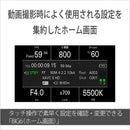 Sony Mirrorless Interchangeable Lips Cinema Line Fx2 Ilme-Fx2B