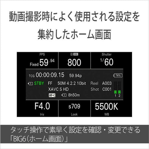 Sony Mirrorless Interchangeable Lips Cinema Line Fx2 Ilme-Fx2B