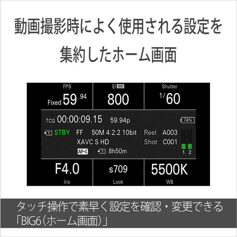 Sony Mirrorless Interchangeable Lips Cinema Line Fx2 Ilme-Fx2B