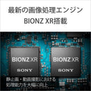 Sony Mirrorless Interchangeable Lips Cinema Line Fx2 Ilme-Fx2B