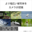 Sony Mirrorless Interchangeable Lips Cinema Line Fx2 Ilme-Fx2B