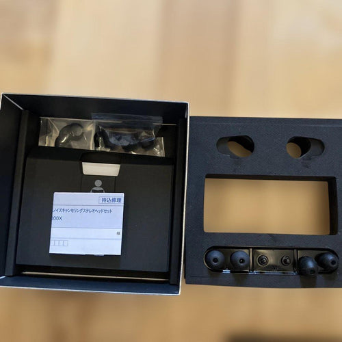 Sony Wireless Earphones Wf-1000X