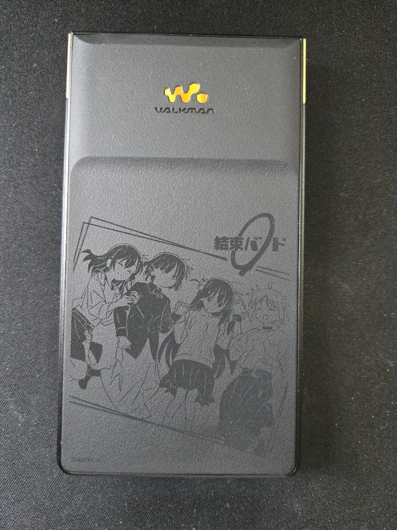 Sony Digital Audio Players Nw-Zx707