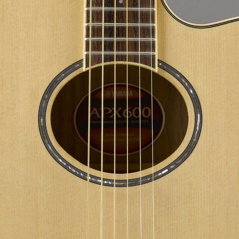 Yamaha Others (Bl) Apx600