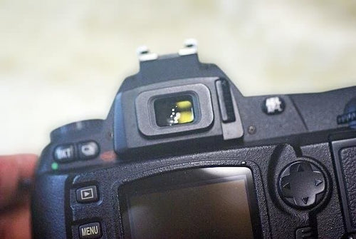 Nikon Digital Slrs D70
