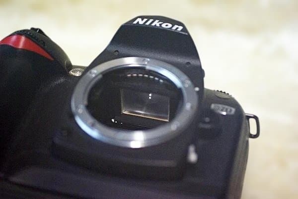Nikon Digital Slrs D70