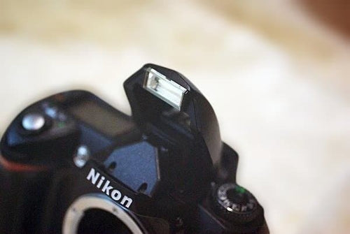 Nikon Digital Slrs D70