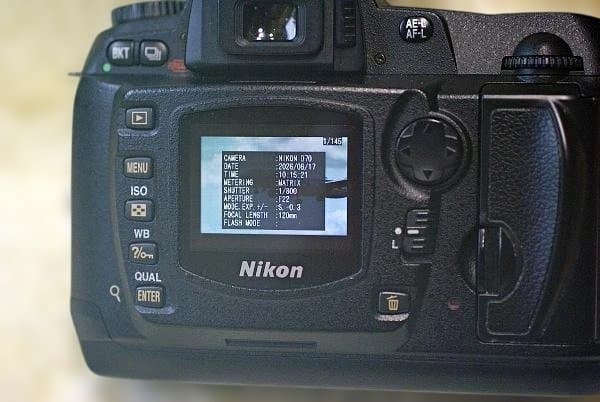 Nikon Digital Slrs D70