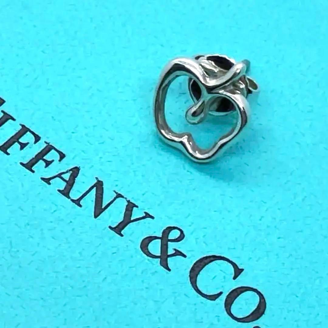 Tiffany Earrings (Single) Sv925