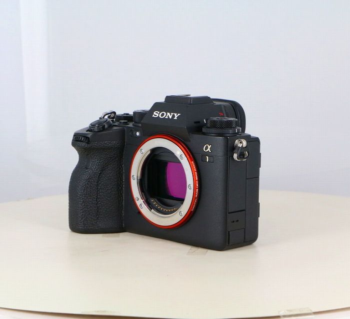 Sony Others 1 (Ilce-1)