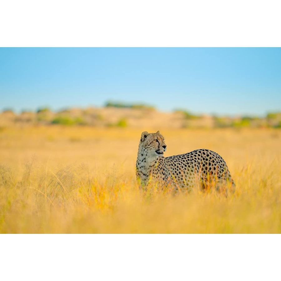 Sonstige (Tamron) 150-500 mm F/5-6.7 Di III VC VXD (Modell A057) X