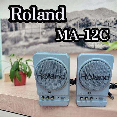 Roland Speakers Ma-12C