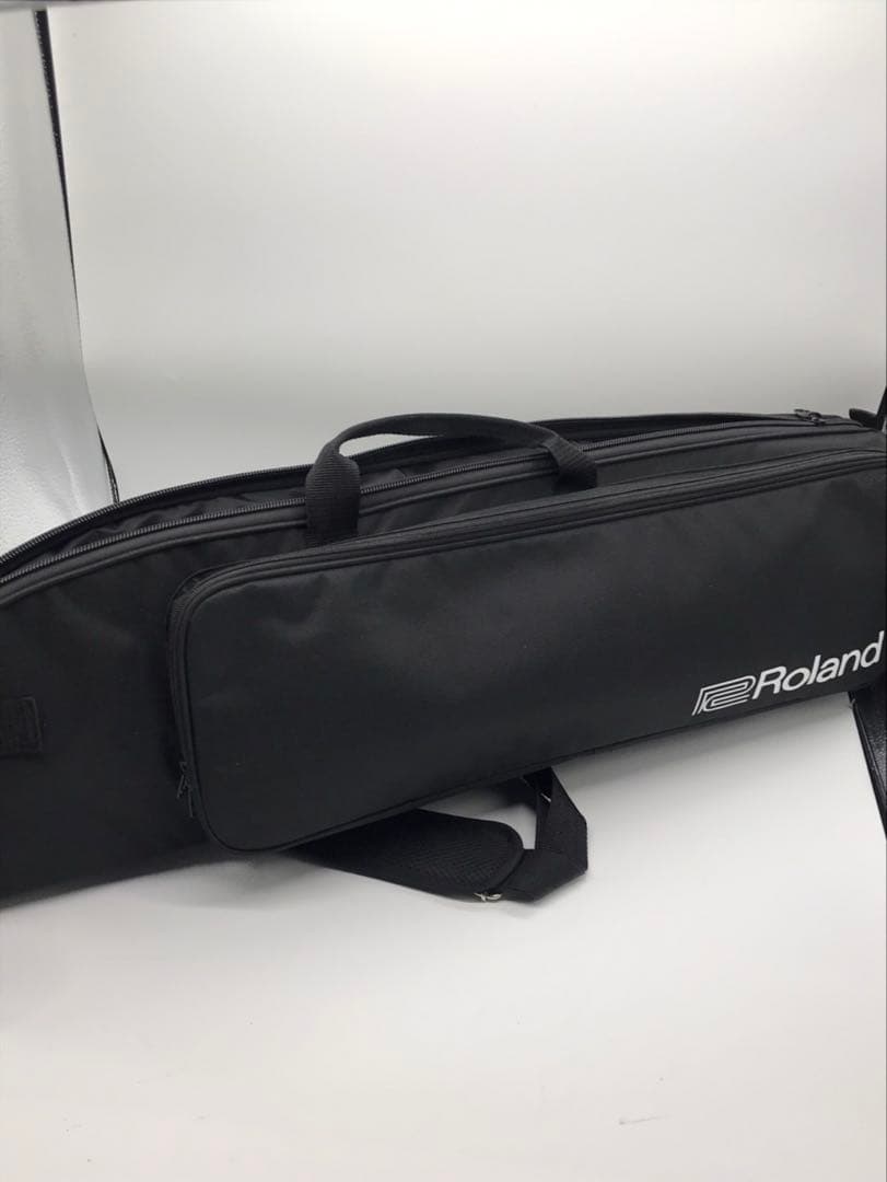 Other Roland/Aerophone Pro Ae-30