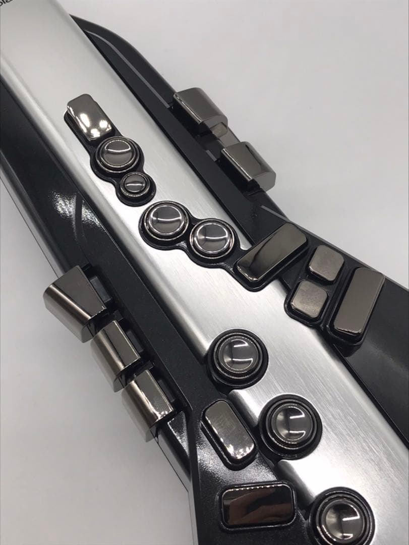 Other Roland/Aerophone Pro Ae-30