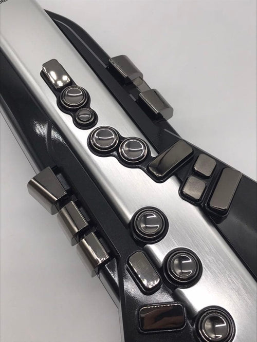 Other Roland/Aerophone Pro Ae-30