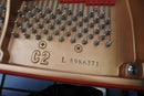 Yamaha Grand Pianos C2L