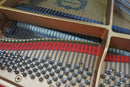 Yamaha Grand Pianos C2L
