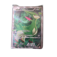 Pokemon Card Game Sr Bw2 067/066