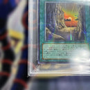 Yu-Gi-Oh! Ocg Duel Monsters (Japanese) Psa9