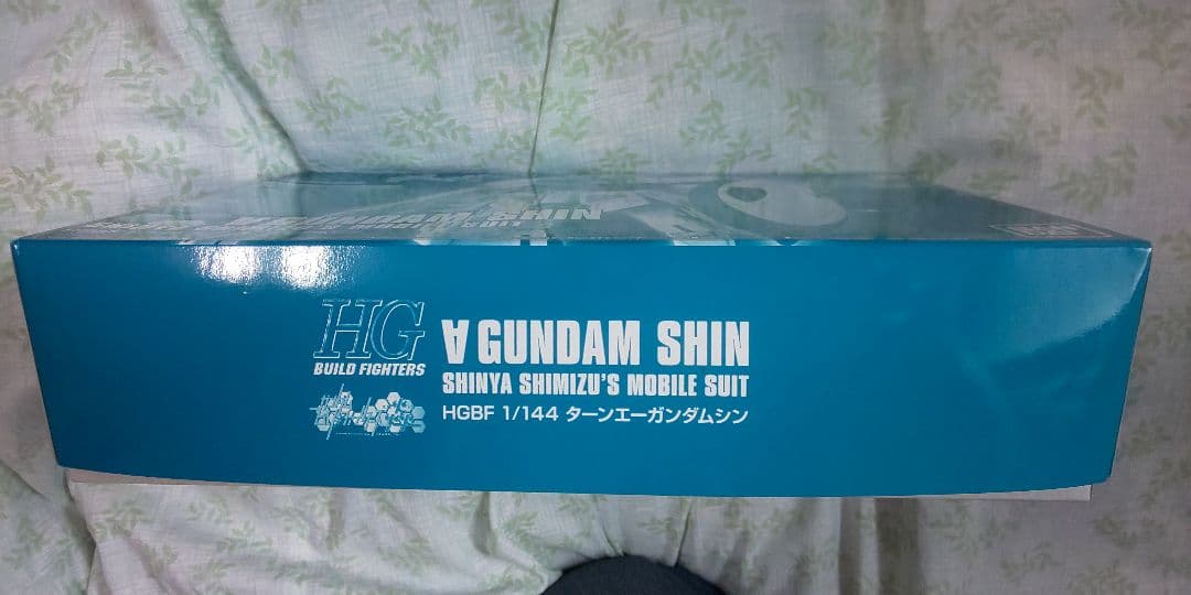 Bandai Hg (High Grade) 1/144