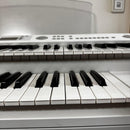 Yamaha Electronic Organs Elb-02