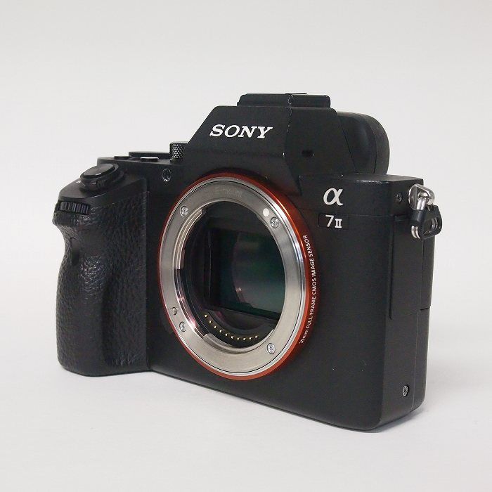Sony Others 7Ii(Ilce-7M2)