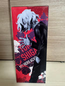 My Hero Academia B